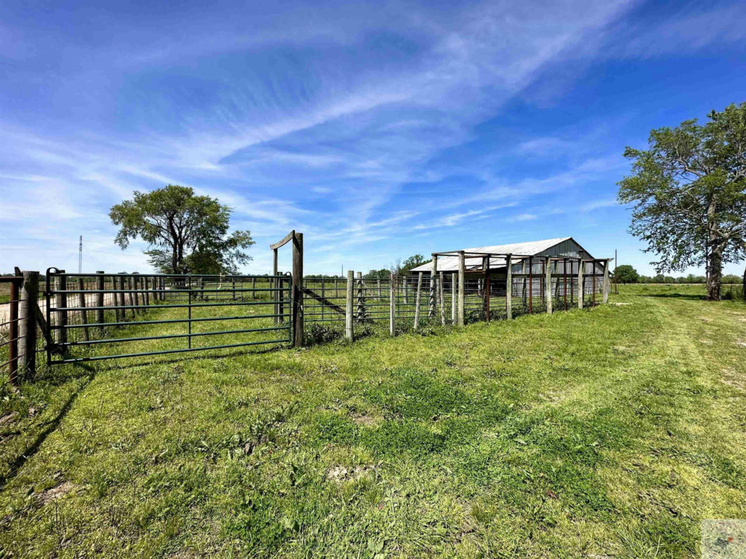 TBD CR 4505, AVERY, TX 75554, photo 1 of 22