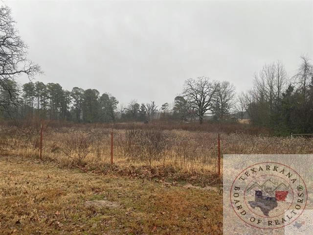 860 COUNTY ROAD 1110, MAUD, TX 75567, photo 1 of 3